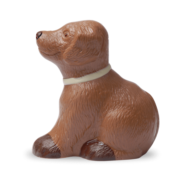 Hund aus Schokolade