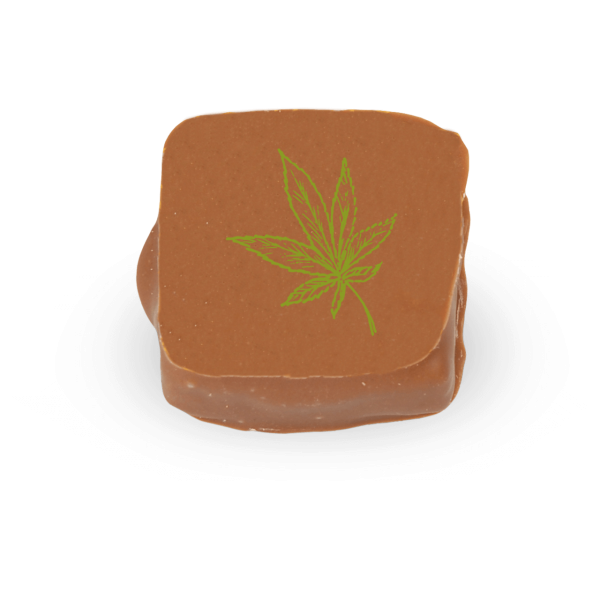 Hanf-Praline 100g