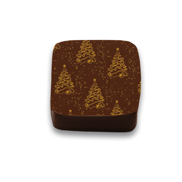 Orange-Zimt-Ganache-Praline 100g