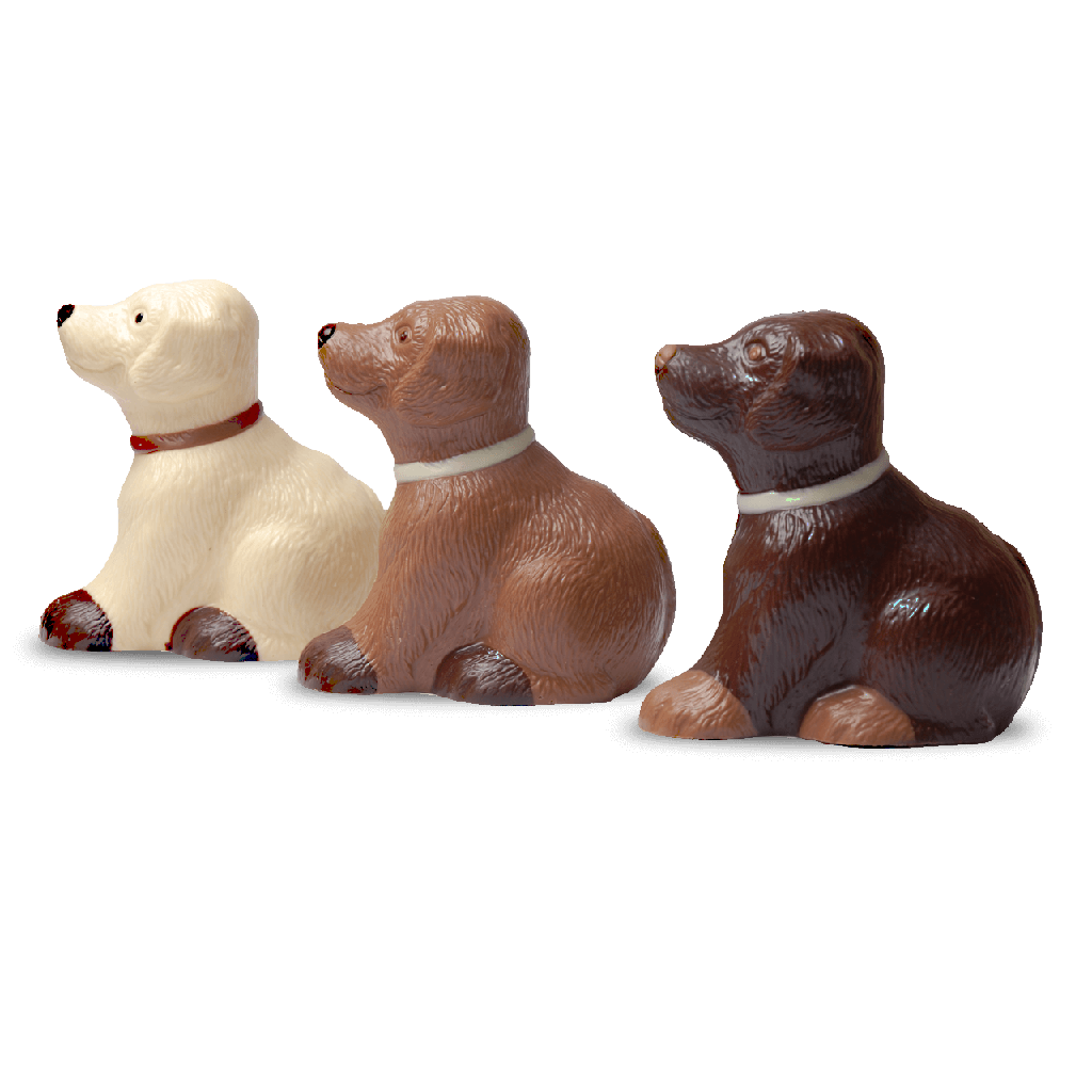 Hund aus Schokolade #1
