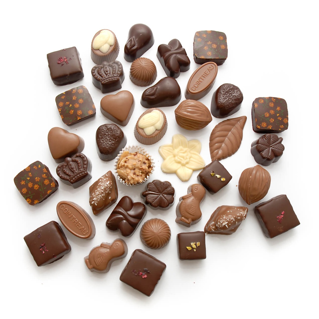 Ballotin gefüllt mit Pralinen 500g #2