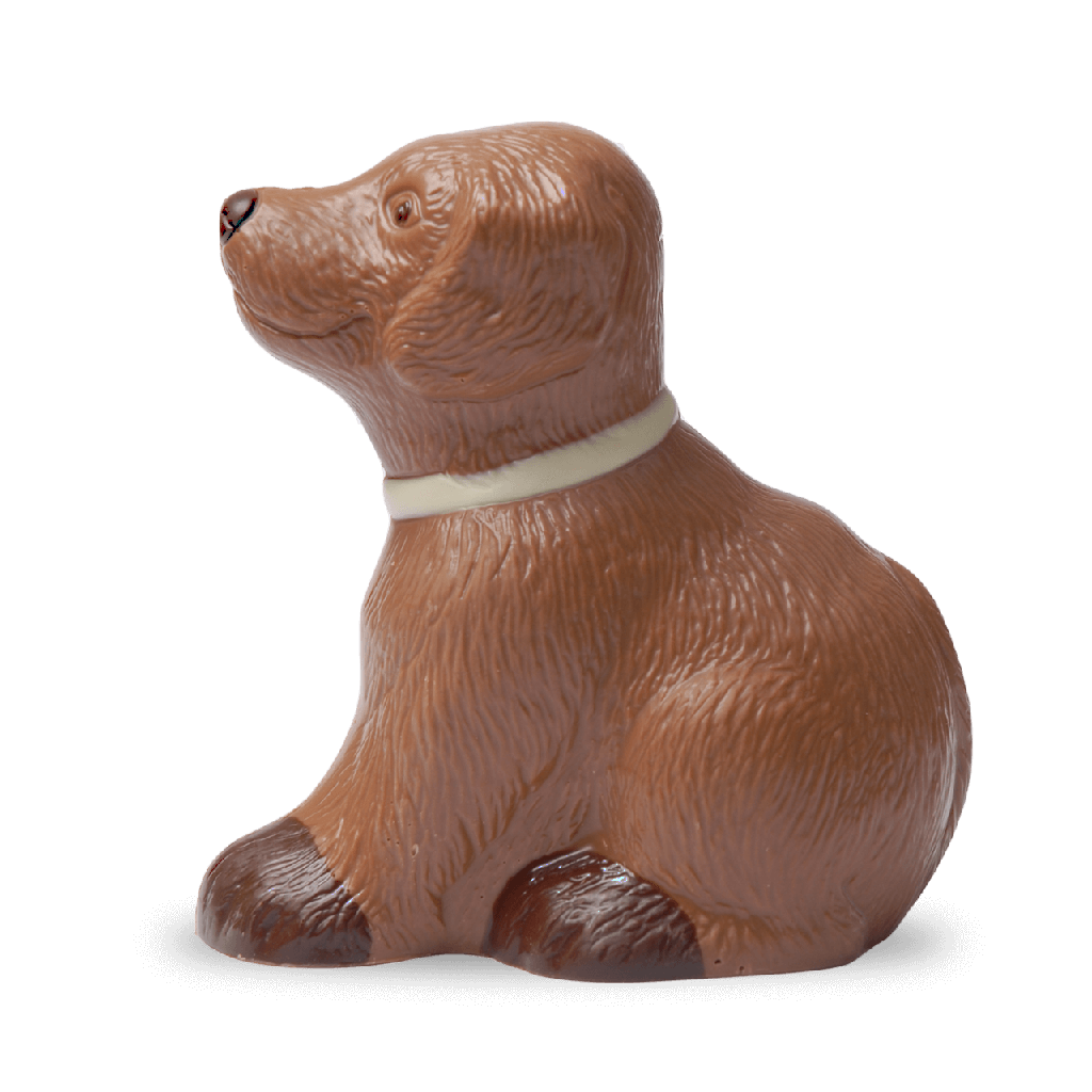 Hund aus Schokolade