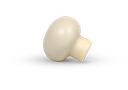 Champignon 100g
