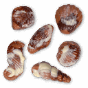 Meeresfrüchte 100g