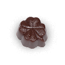 Glücksklee 100g